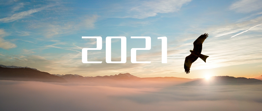 乘“峰”而上，智“盈”未来 ——2021年AG庄闲游戏环境高级资深副总裁新年开工动员